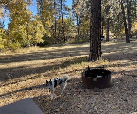 Hobo Camp