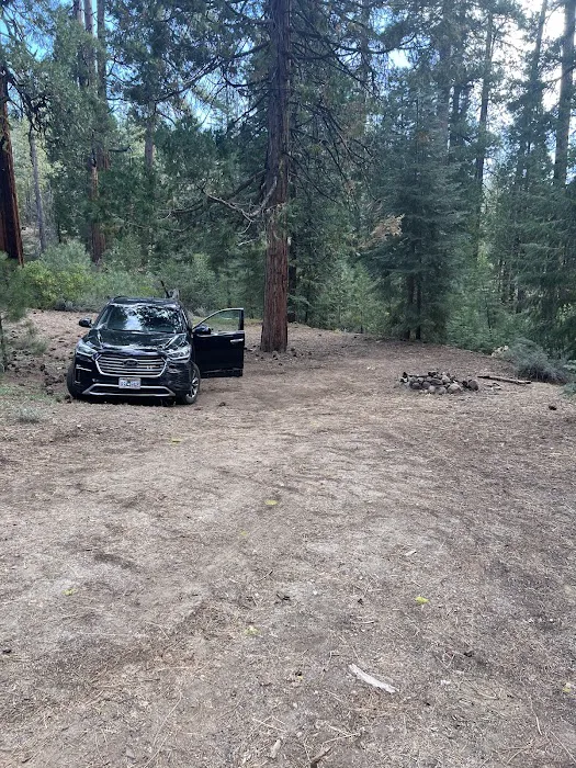 Old Fredonyer Campground Picture 5