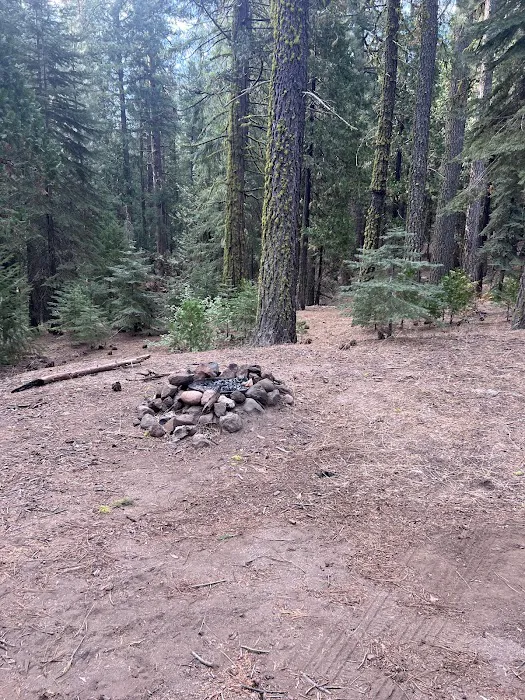 Old Fredonyer Campground Picture 1