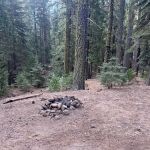 Old Fredonyer Campground