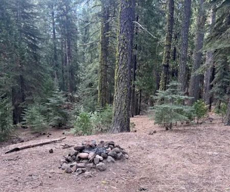 Old Fredonyer Campground