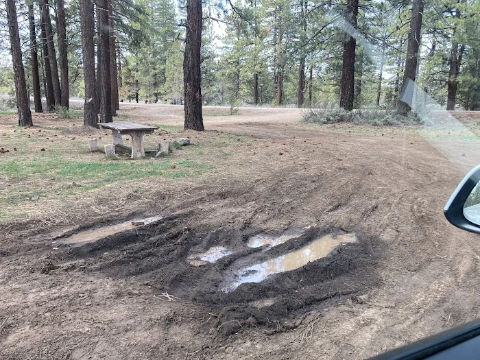 Susanville BLM Campground Picture 3