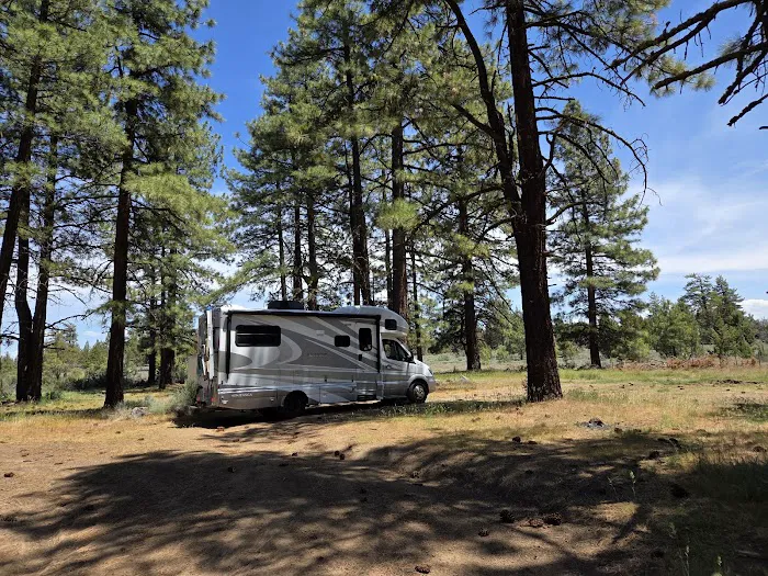 Susanville BLM Campground Picture 10