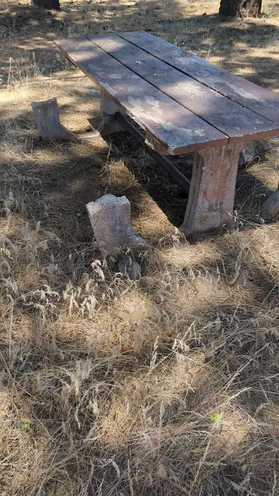 Susanville BLM Campground Picture 8