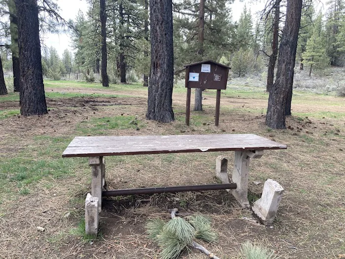Susanville BLM Campground Picture 6