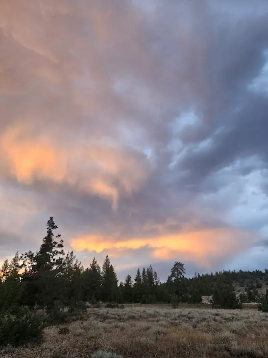 Susanville BLM Campground Picture 1