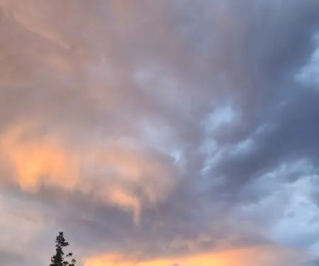 Susanville BLM Campground
