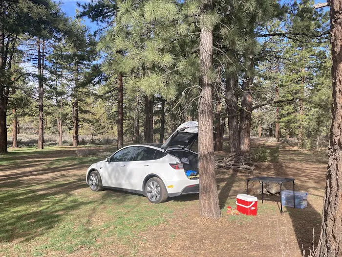 Susanville BLM Campground Picture 4
