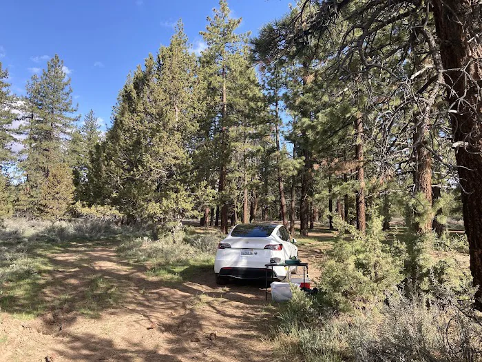 Susanville BLM Campground Picture 2