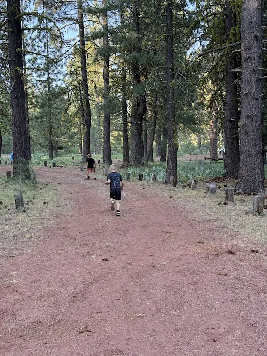 Goumaz Campground/Biz Johnson Trail Picture 6