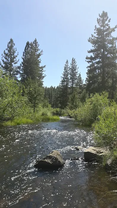 Goumaz Campground/Biz Johnson Trail Picture 4