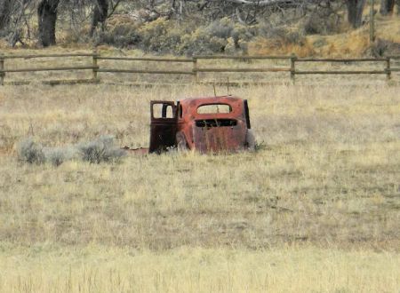 Honey Lake Wildlife Area