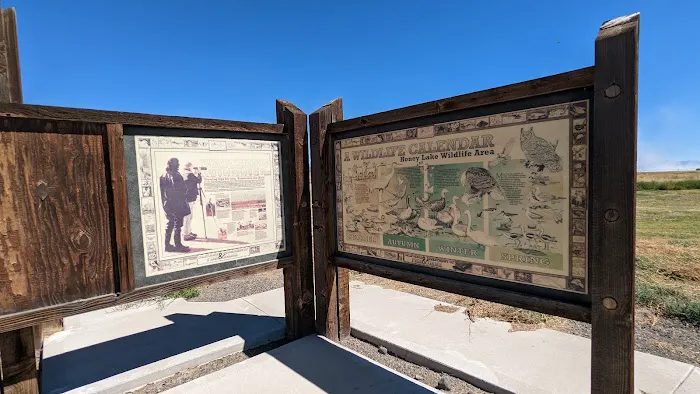 Honey Lake Wildlife Area Picture 3