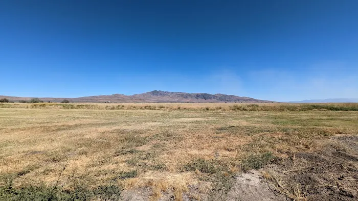 Honey Lake Wildlife Area Picture 6