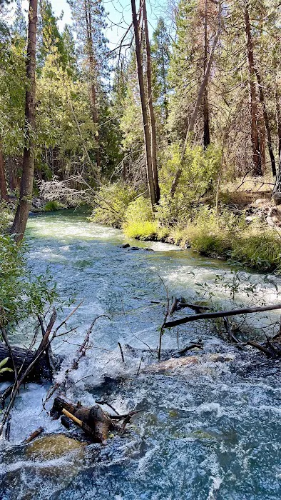 Chilcoot Family Campground Picture 7