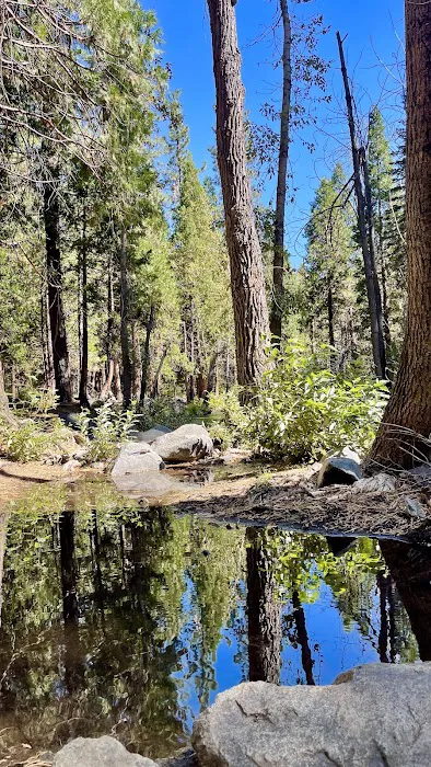 Chilcoot Family Campground Picture 2