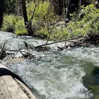 Chilcoot Family Campground ico