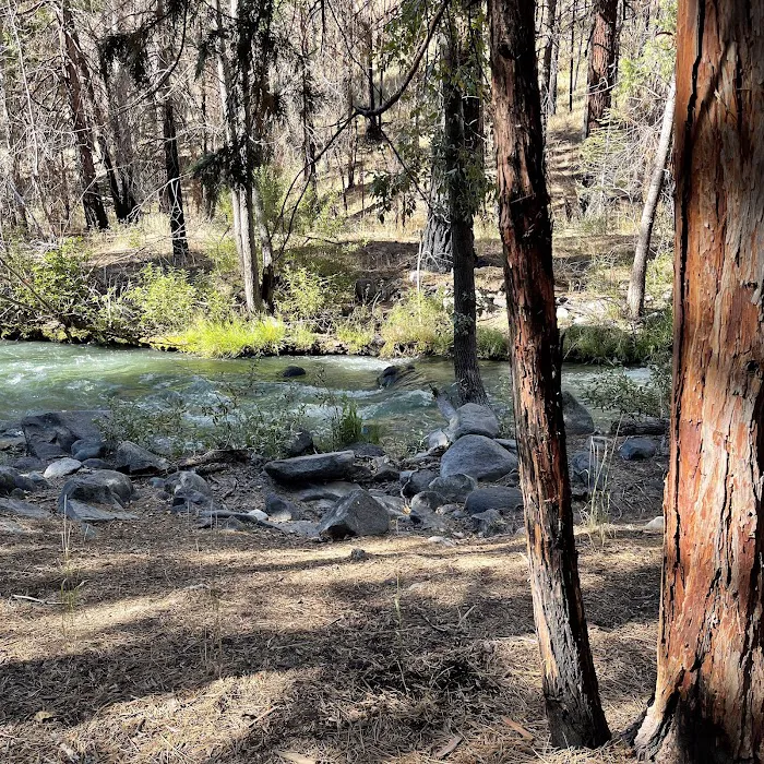 Chilcoot Family Campground Picture 10