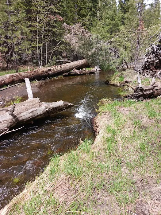 Butte Creek Campground Picture 9