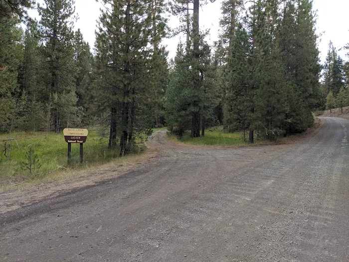 Butte Creek Campground Picture 4
