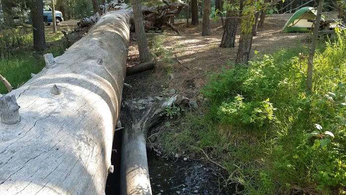 Butte Creek Campground Picture 5