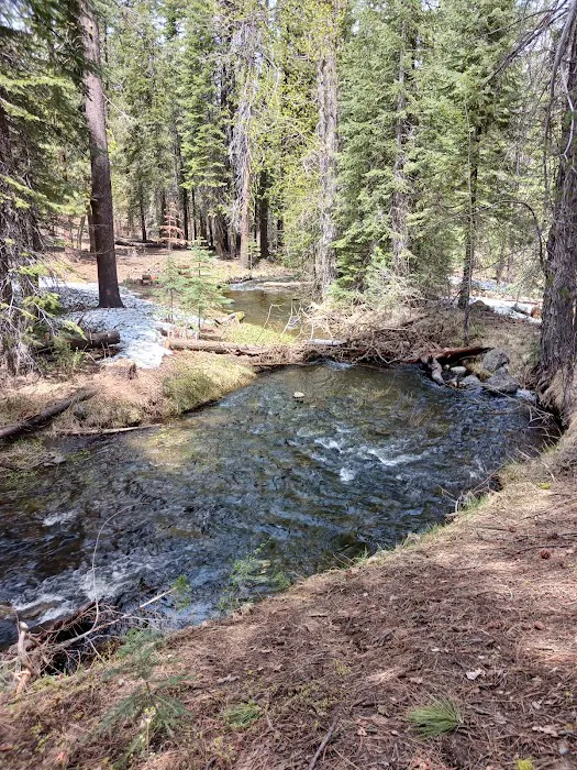 Butte Creek Campground Picture 8