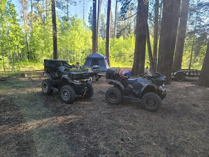 Bogard Campground Picture 3