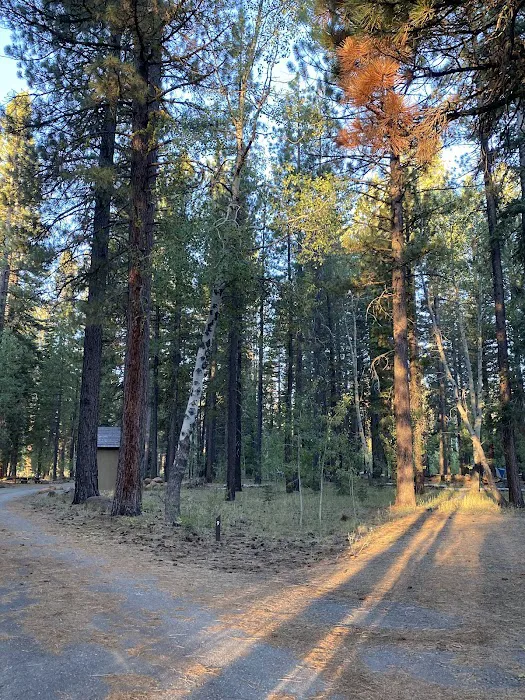 Bogard Campground Picture 4