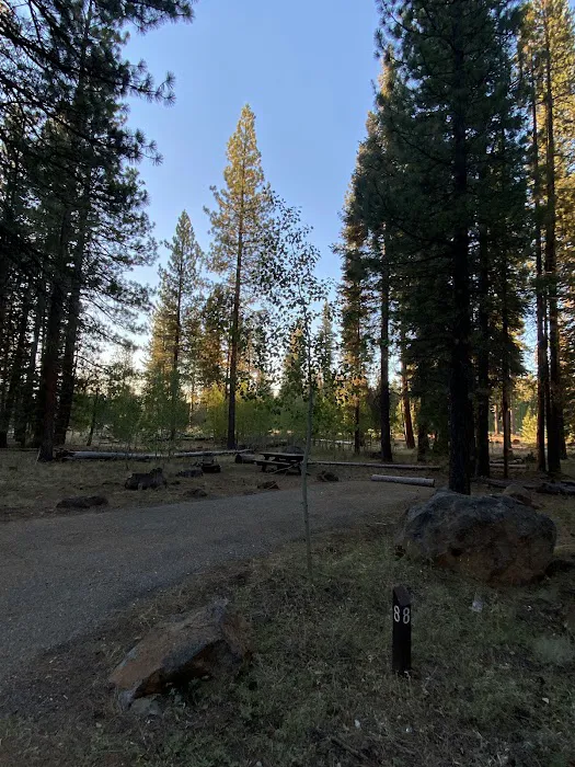 Bogard Campground Picture 2
