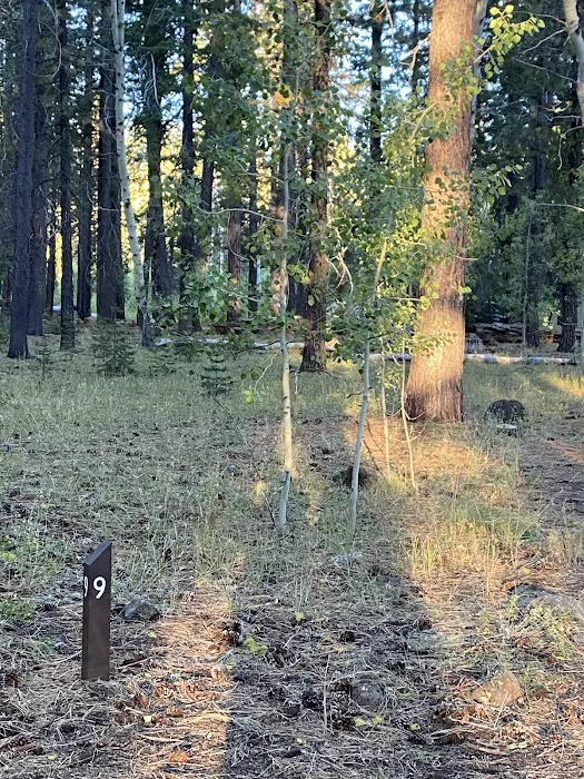 Bogard Campground Picture 6