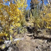 Crater Lake Campground ico