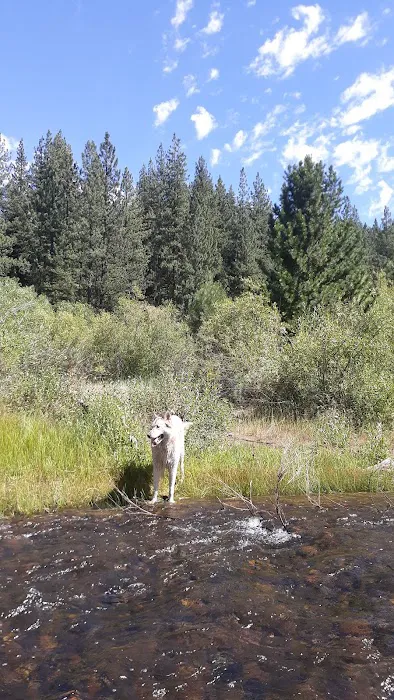 Goumaz Campground Picture 4