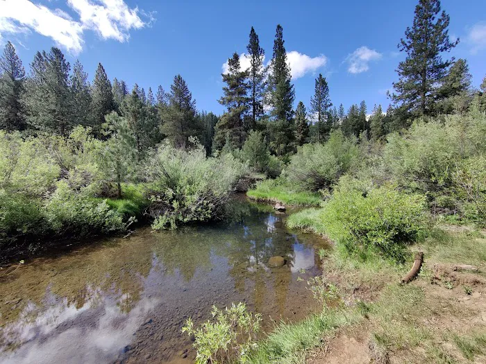 Goumaz Campground Picture 6