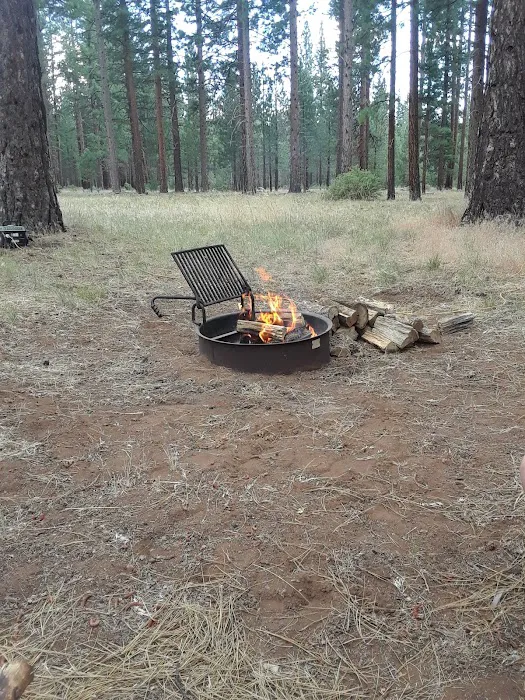 West Eagle Group Campground Picture 9