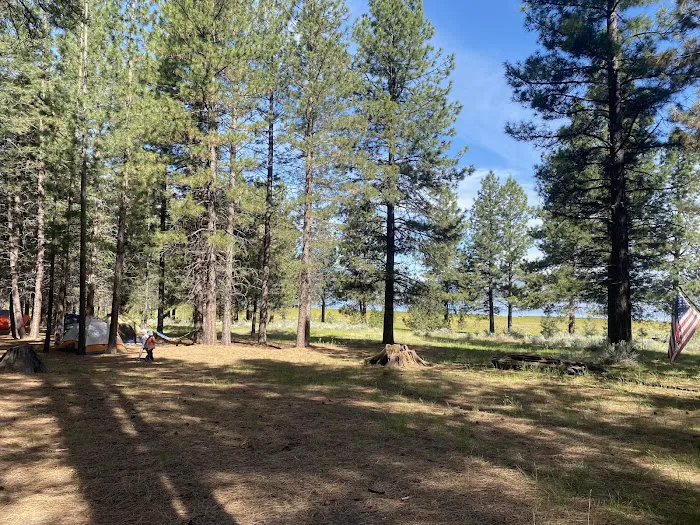 West Eagle Group Campground Picture 2
