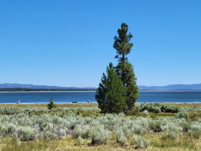 Merrill Campground Picture 5