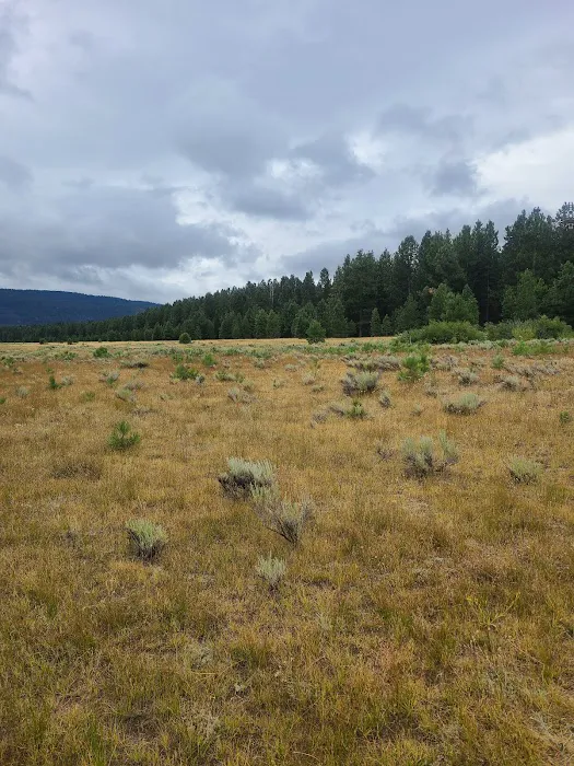 Eagle campground Picture 5