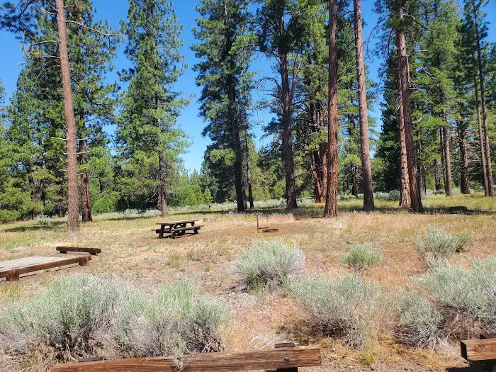 Eagle campground Picture 1