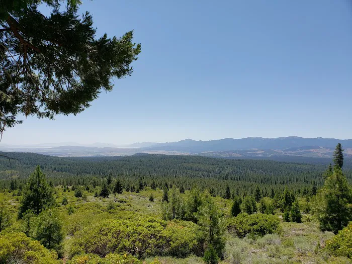 Eagle Lake Picture 9