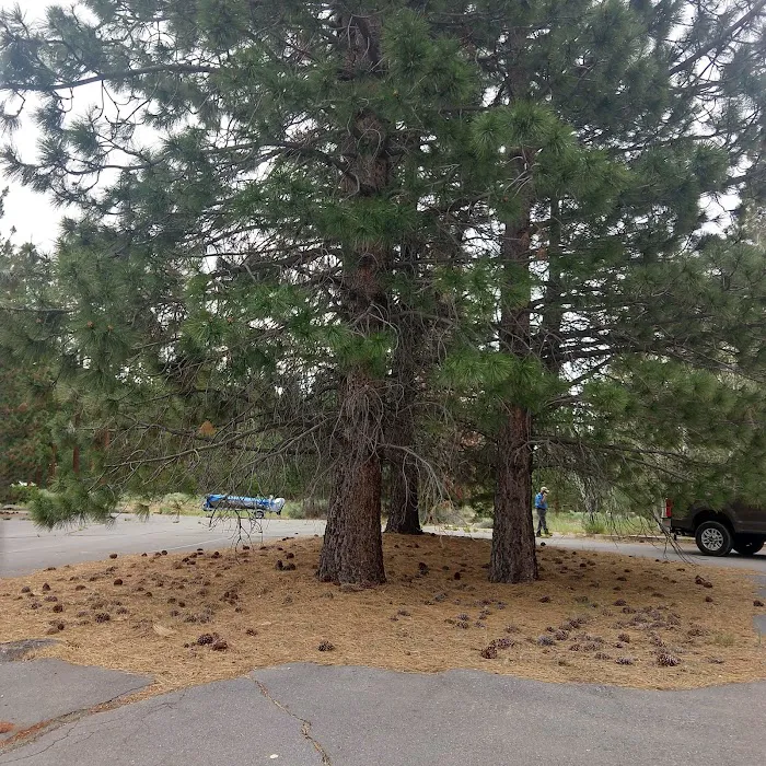 Aspen Grove Campground Picture 2