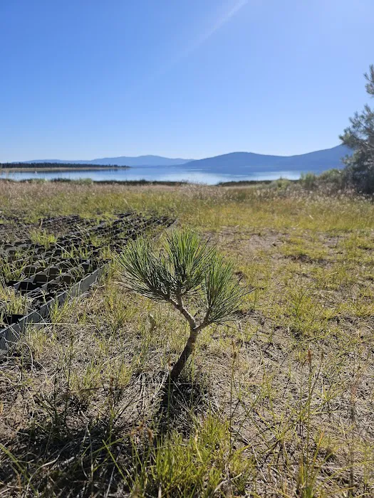Christie Day Use Area Campground Picture 3