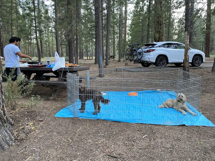 Christie Campground Picture 7