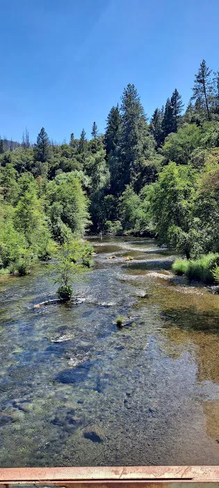Peltier Bridge Campground Picture 7