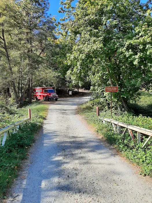 Peltier Bridge Campground Picture 3