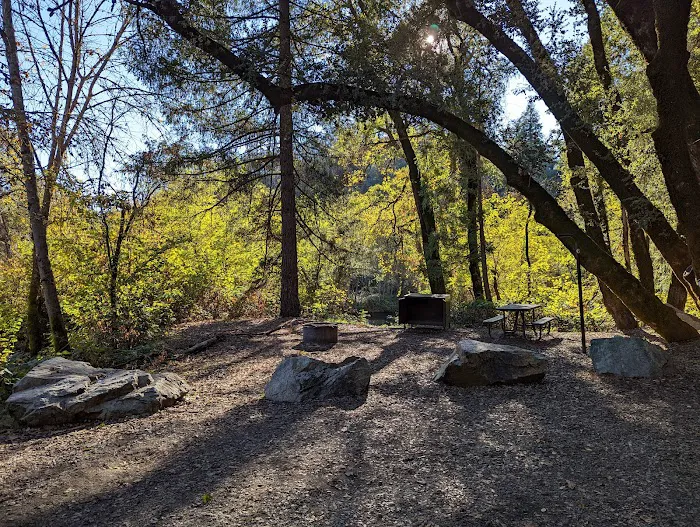 Peltier Bridge Campground Picture 10