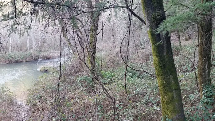 Peltier Bridge Campground Picture 4