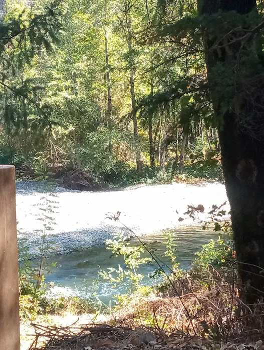 Peltier Bridge Campground Picture 6