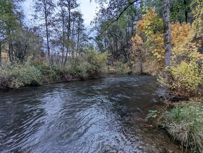 Peltier Bridge Campground Picture 8