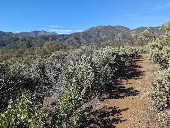 Walker Mine Campground Picture 3