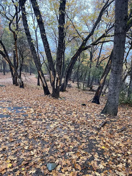 Brandy Creek Campground Picture 2